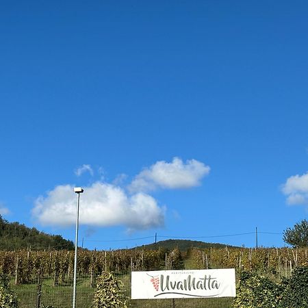 Villa Uvamatta Carmiano  Exterior foto
